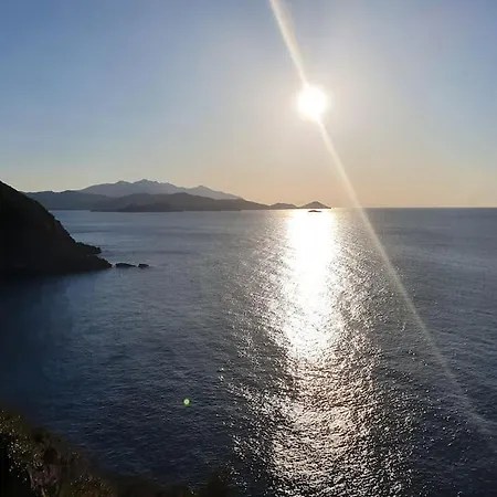 Pietro * Nisporto